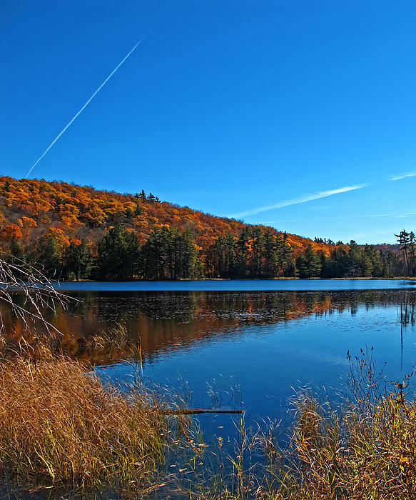 fall-forest-foliage-reflecting-on-a-blue-lake-and-wetlands--airplane-vapour-trails--autumn-colors-chantal-photopix